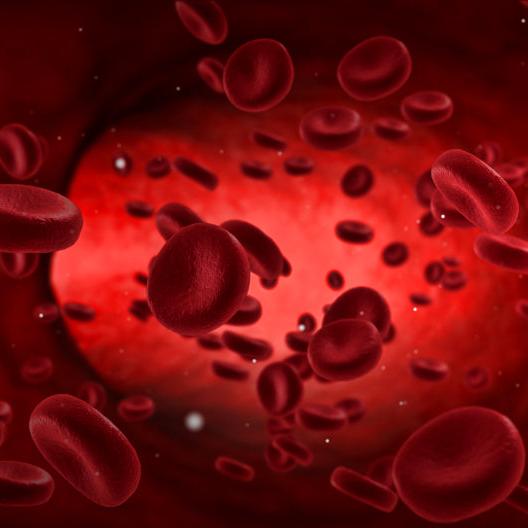 Blodprøve Magnesium RBC SanOmega