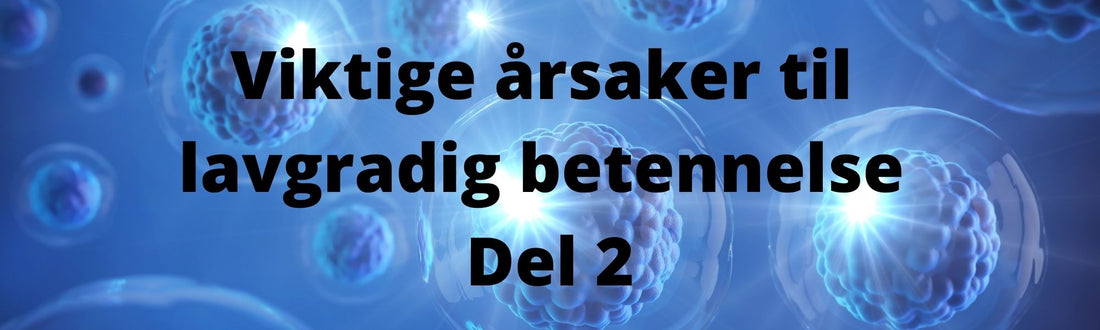 Viktige årsaker til lavgradig, kronisk betennelse - Del 2: EPA, AA, magnesium og kalsium