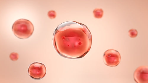 Astaxanthin: Naturens kraftigste antioksidant og immunstyrker